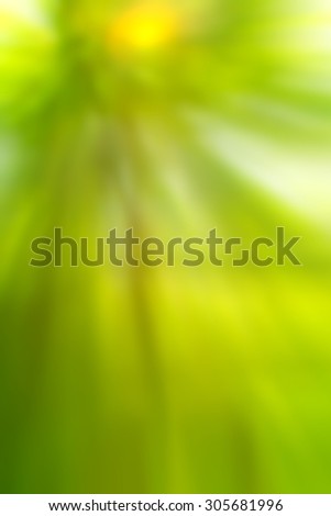 Blurred background image for the screen with text. Vertical image for backgrounds or wallpaper screen phone. Concept for text, design, advertising about spring, summer, sun, nature, health, lifestyle.