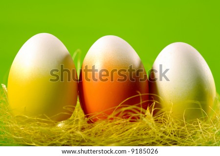 funny easter pictures. stock photo : Funny easter