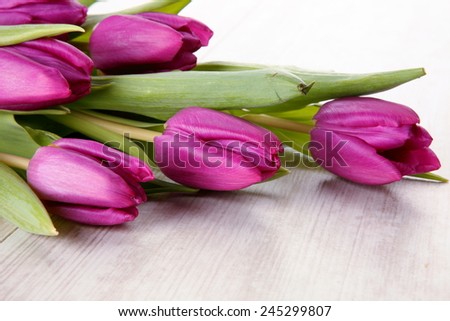 lovely tulips on white - flowers and plats