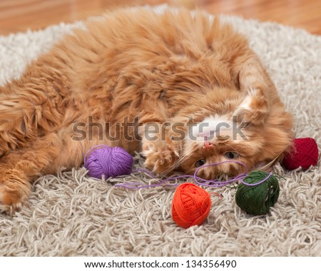 Red Fluffy Cat Playing With Colored Balls Of Yarn On A Carpet