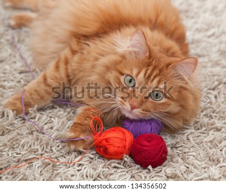 red fluffy cat playing with colored balls of yarn on a carpet