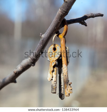 dirty rusty keys hanging on a tree