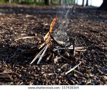 a small fire in the wild forest