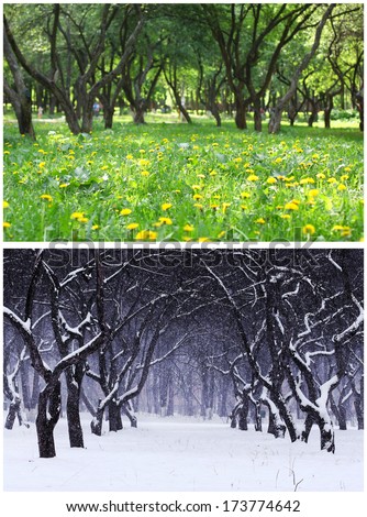 Summer and winter in the collage. Two seasons.