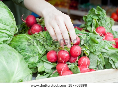 human hand takes a radish from the counter market