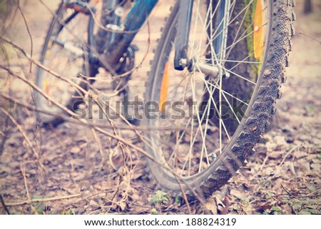 bicycle wheel, bike in the forest on earth, retro instagram effect