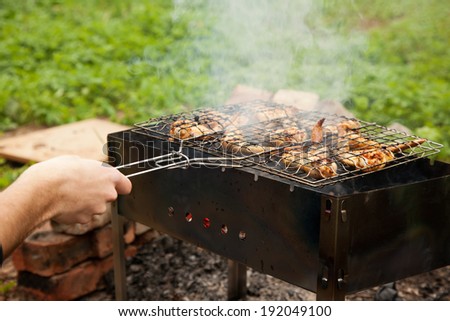 Outdoor barbecue, grilled chicken wings, cooking process