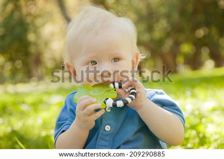 funny year-old kid on the grass in the park, chewing toy