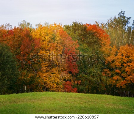 autumn landscape, the bright colors of the season