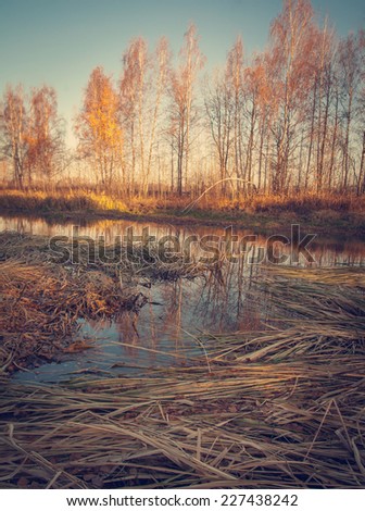 beautiful autumn landscape, grassy river bank with retro toning