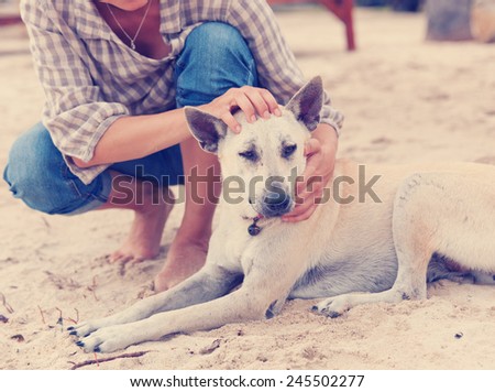 The owner hugging her dog on the beach