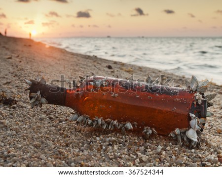Message in a bottle. Bottle overgrown with seashells on the beach at sunset. Image with retro filter.