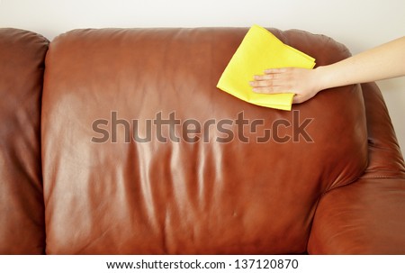 Brown Sofa Cleaning