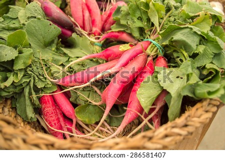 basket with radishes at the street market to sell from the organic farming