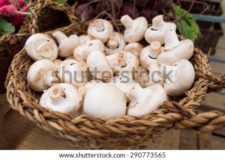 basket with mushrooms at the street market to sell from the organic farming