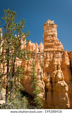 Bryce canyon national park, Utah, USA