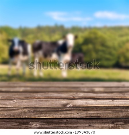 Wooden deck, cows in the background