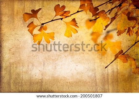 Autumnal sepia background with ginkgo biloba leaves