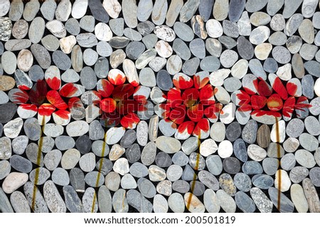Red gerbera flowers, zen stones texture