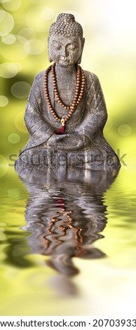 Stone Buddha statue and water reflection, on green background