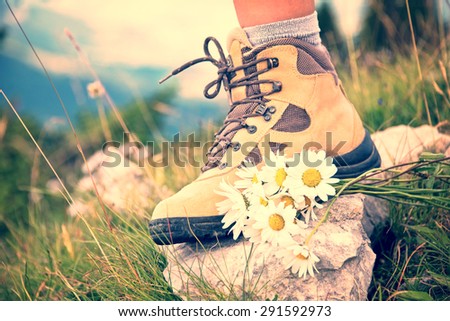 Close up of a woman foot in a hiking shoe and a bunch od daisies on a mountain trail, vintage process