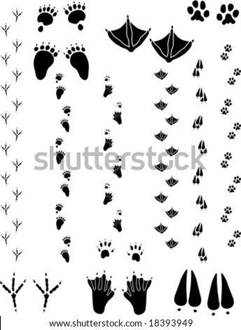 cat paw prints clip art