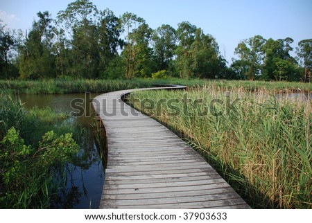 Footpath over a small lake in Wetland park, \