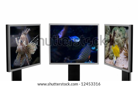 Three computer monitors with three different underwater pictures inside.