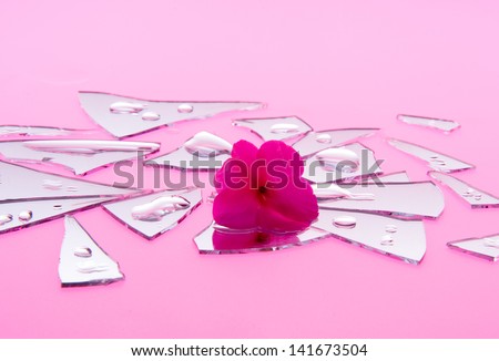 Concept photo of broken relationship with flower sitting in broken mirror pieces shot on light table with red  light