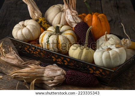 Autumn arrangement of pumpkins and dried corn for fall harvest theme