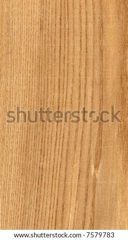 american elm wood