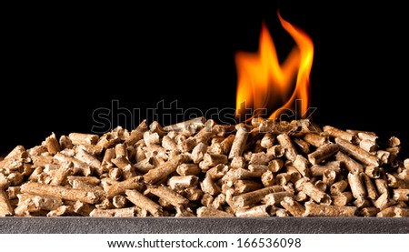 closeup image of wood pellets