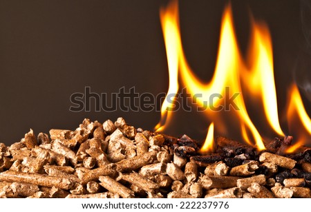 closeup image of wood pellets