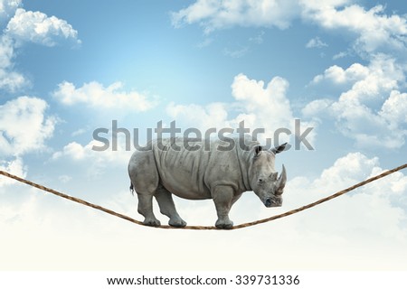 huge rhino walk on rope