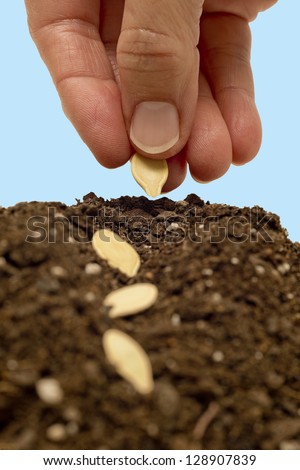 Planting Seeds Close Up Vertical Shot  Focus On Seed In Hand
