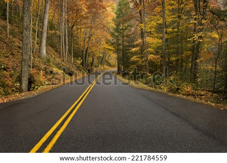 Horizontal Shot Of Wet Road With Fall Or Autumn Foliage/ Autumn In The Mountains