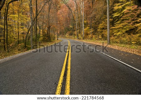Horizontal Shot Of Mountain Road With Fall Foliage/ Road Surrounded By Fall Foliage