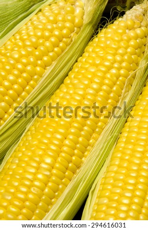 Corn On The Cob Close Up/ Corn On The Cob
