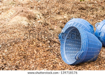 Organic Compost with blue trash basket