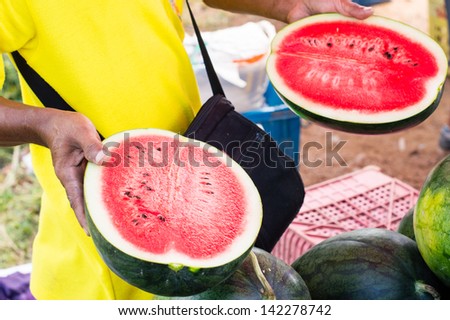 Half of fresh watermelon at the local farmers market, science name is Citrullus Vulgaris Schard.