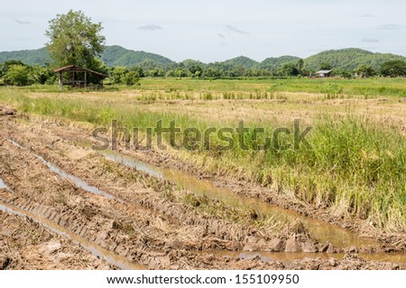 NORTHERN, THAILAND - JUNE 09 : Bad land formations with abandon house on June 09, 2013 in Thailand.