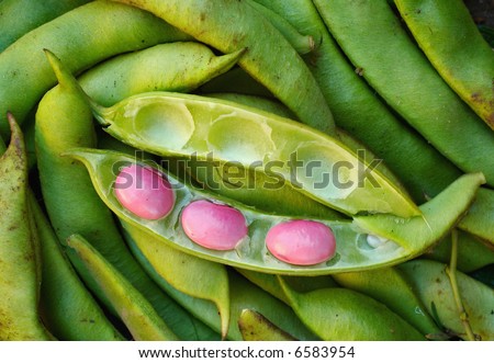 Bean-pods with pink beans