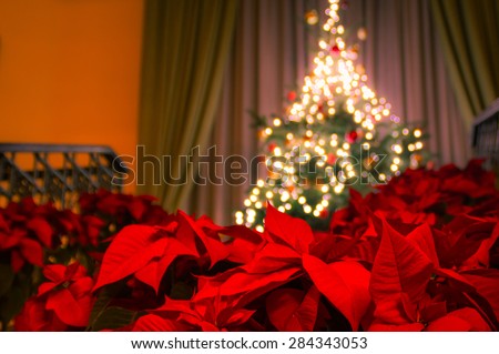 Decorated christmas tree with christmas lights on the stairs and poinsettia plants in front