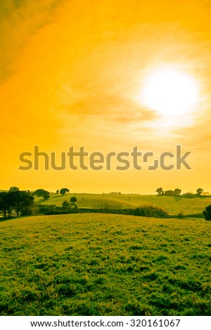 Artistic edit of hill meadows and fields with trees at sunset, with cloudy orange sky and copy space for text