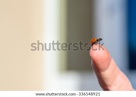 A small red ladybird or ladybug on the top of the finger, with copy space for text