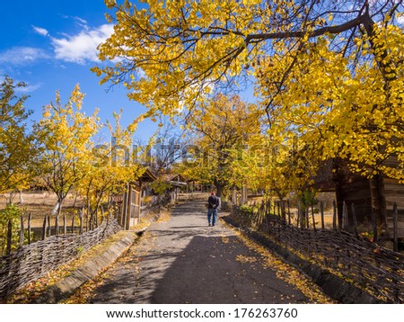 TBILISI, GEORGIA - OCTOBER 10, 2013: People walking in the park in the Ethnographical Museum in Tbilisi, Georgia. Many of the city\'s cultural events are held in the park.