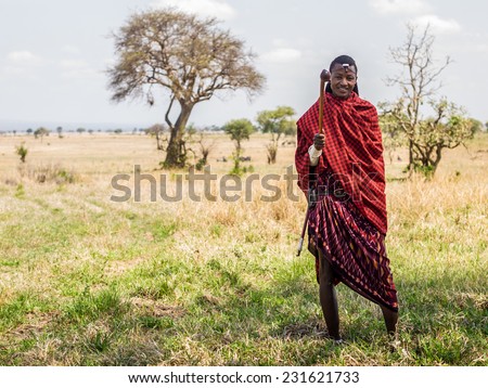 MIKUMI, TANZANIA - OCTOBER 26, 2014: Maasai warrior dressed in traditional red clothes with rungu weapon in his hand, Mikumi National Park, Tanzania,East Africa. The Maasai inhabit Kenya and Tanzania.