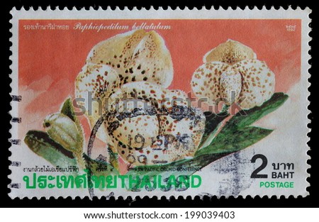 THAILAND - CIRCA 1992  : postage stamp printed in Thailand shows orchid (4th Asia Pacific orchid conference), circa 1992