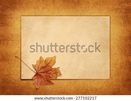 Old card for congratulation or invitation a  maple leaf