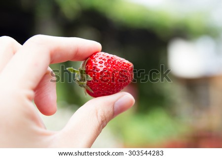 Fingers holding a fresh strawberry